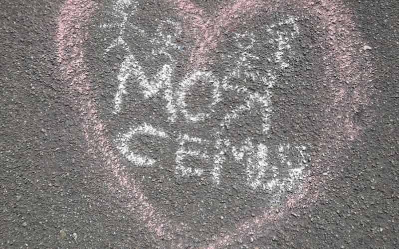 Моя семья