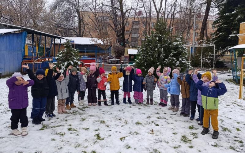 Птицы